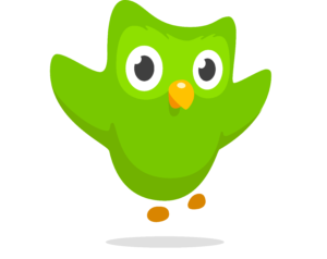 Duolingo Logo