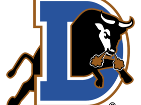 Durham Bulls Logo