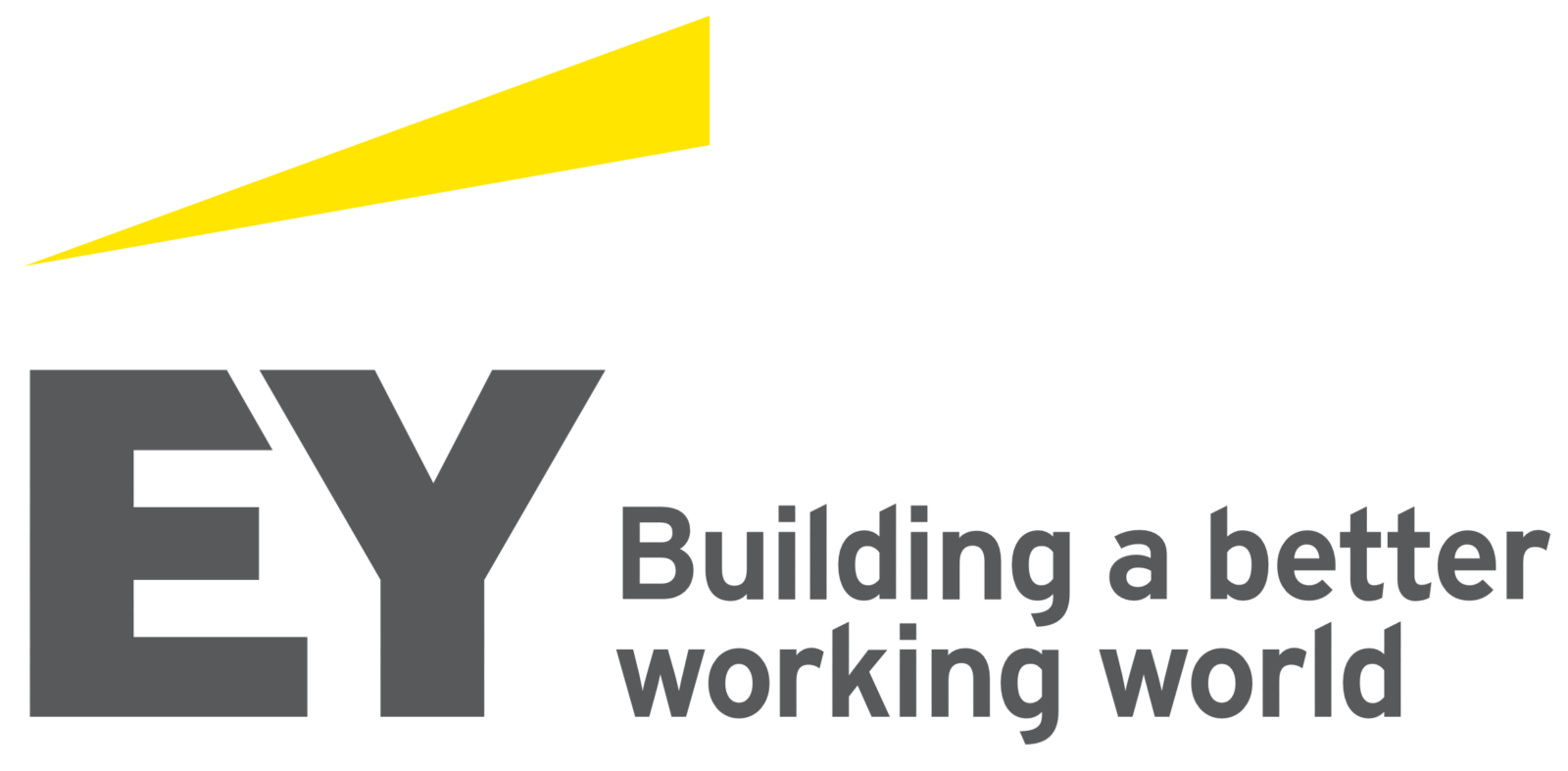 Ernst Young Logo