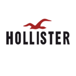 Hollister Logo