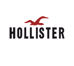 Hollister Logo