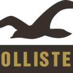 Hollister logo and symbol