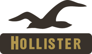 Hollister logo and symbol