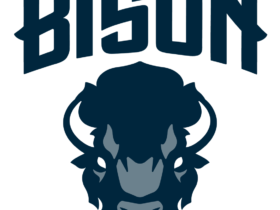 Howard Bison Logo