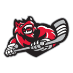 Huntsville Havoc logo and symbol