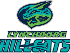 Lynchburg Hillcats Logo