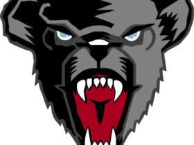 Maine Black Bears Logo