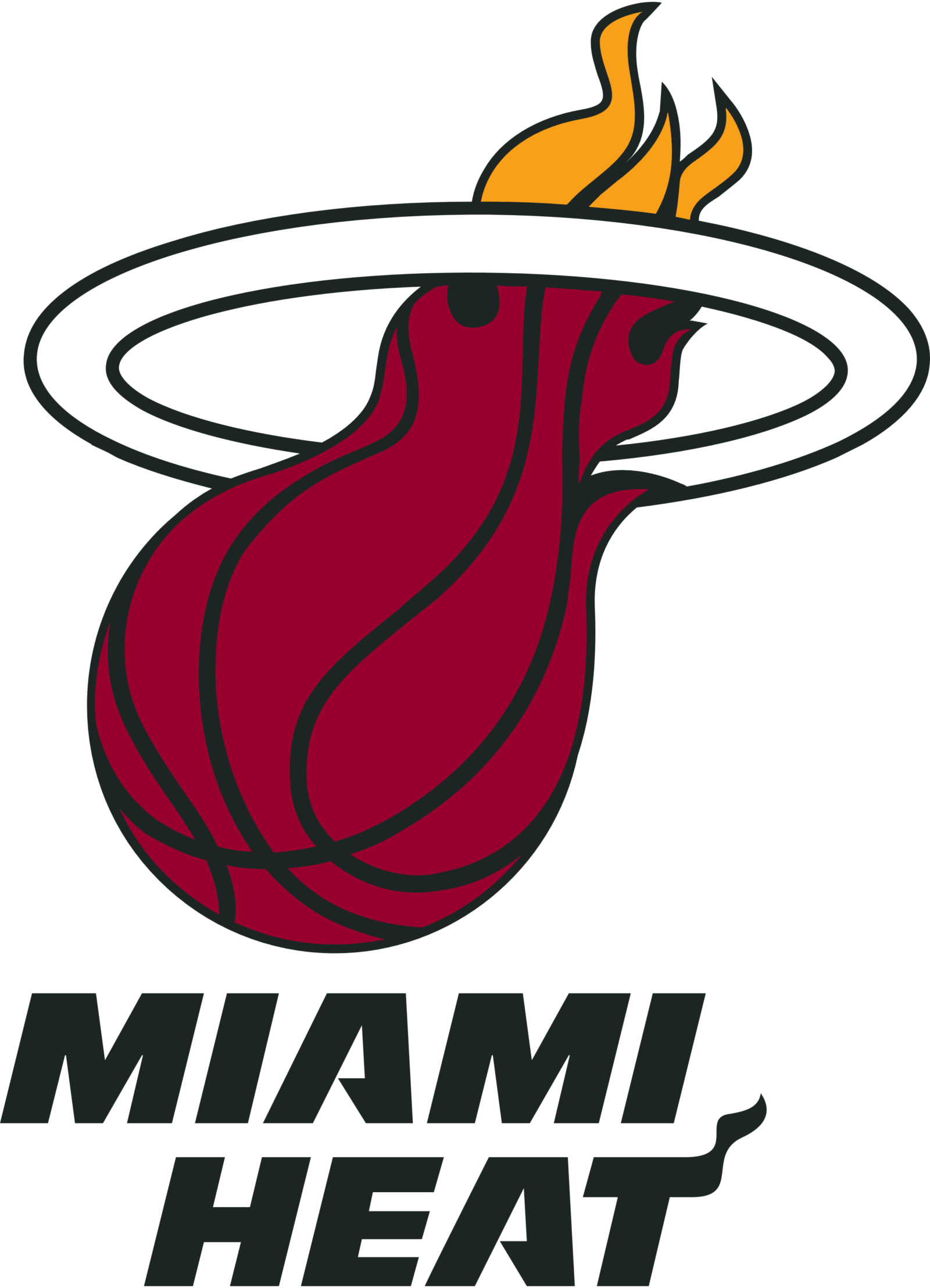 Miami Heat Logo