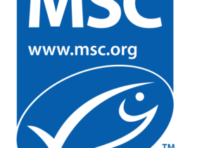 Msc Logo