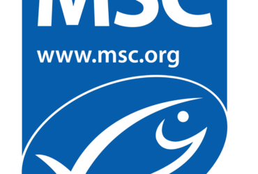 Msc Logo