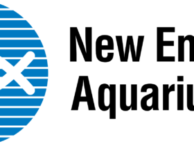 New England Aquarium Logo