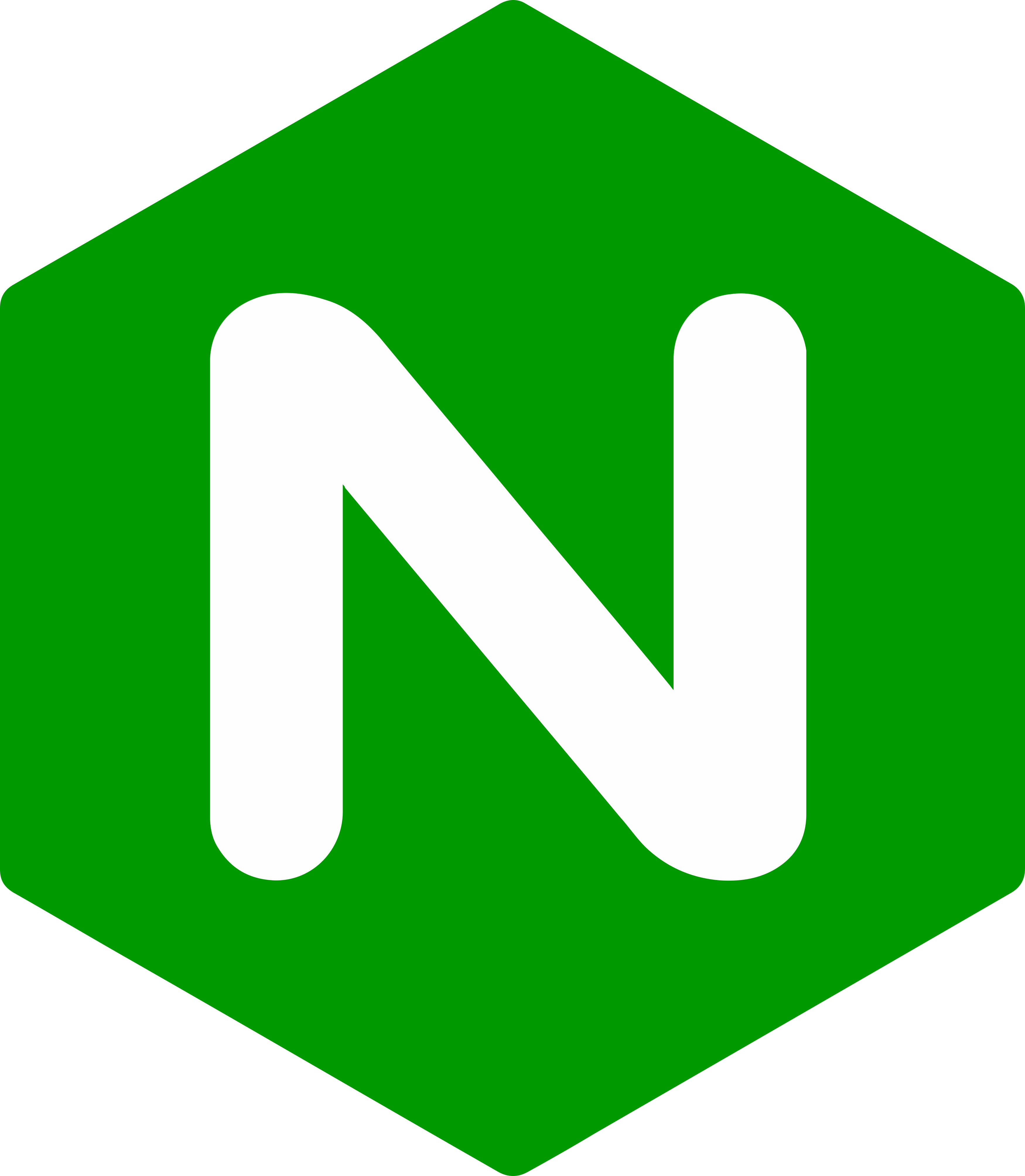 Web nginx