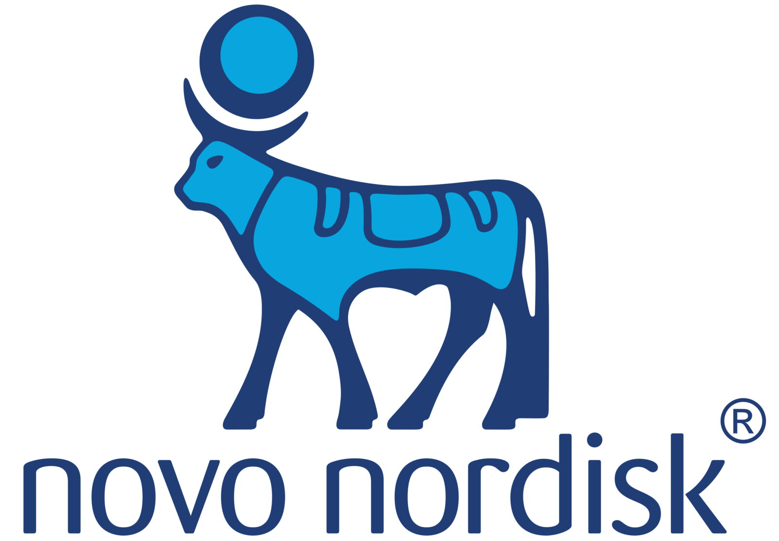 Novo Nordisk Logo