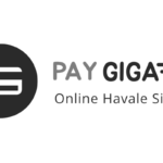 Pay Giga Logo