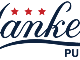 Pulaski Yankees Logo