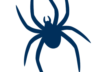 Richmond Spiders Logo