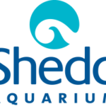 Shedd Aquarium Logo