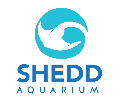 Shedd Aquarium Logo