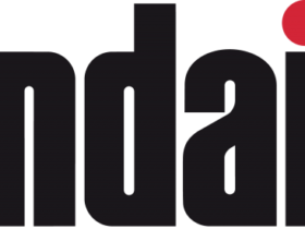 Shindaiwa Logo