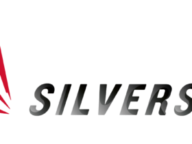 Silverstone Logo