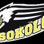 Sokolov Logo