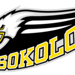 Sokolov logo and symbol