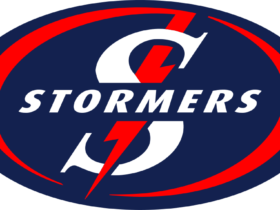 Stormers Logo