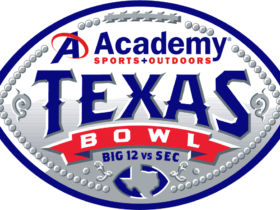 Texas Bowl Logo