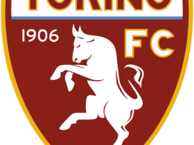 Torino Logo