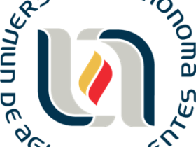 Uaa Logo