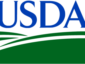 Usda Logo