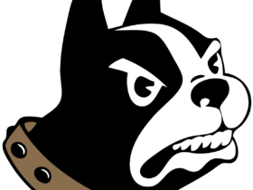 Wofford Terriers Logo