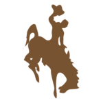 Wyoming Cowboys Logo