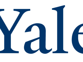 Yale Logo