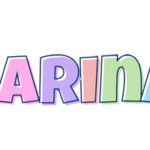 Zarina Logo