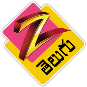 Zee Telugu Logo and symbol